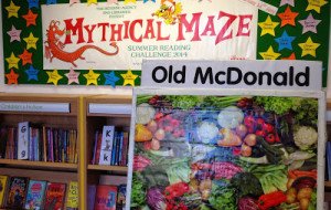 Summer Reading Challenge Show